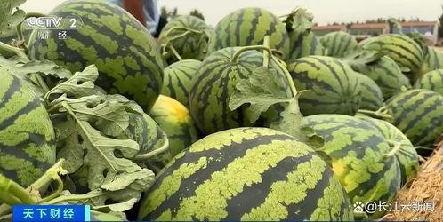 山东菏泽吃瓜事件视频,一场网络热议的误会真相揭秘